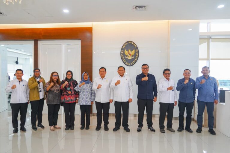 WhatsApp Image 2026-01-28 at 17.00