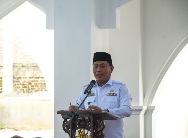 WhatsApp Image 2026-02-11 at 14.39