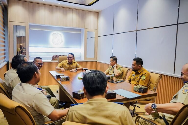 Saya menerima kunjungan Plt